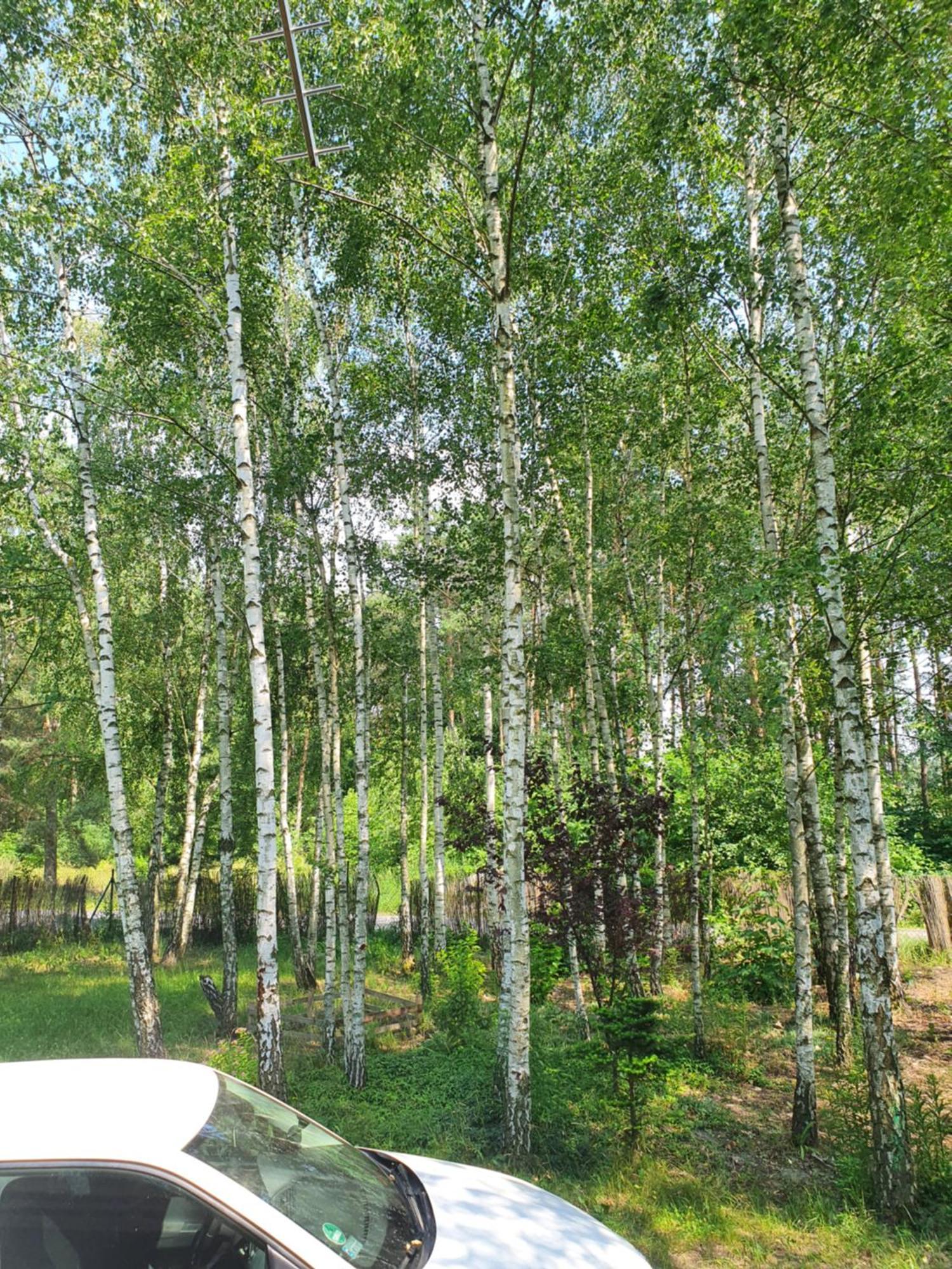 Domek Letniskowy Treby Stare Esterno foto